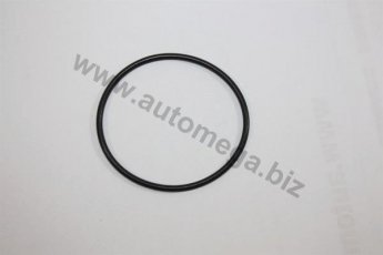 Уплотнительное кольцо тромблера Opel 1,2-1,3 OHC BOSCH 190054720 DELLO фото 1