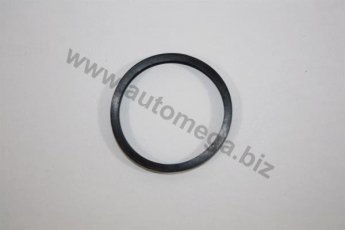 Уплотнительное кольцо под термостат Kadett 1.2,1.3,1.4,1.6,Ascona,Vectra 190043320 DELLO фото 1