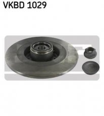 Купити VKBD 1029 SKF Гальмівні диски Сценік 3 2.0 dCi