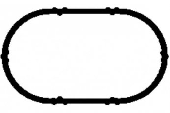 Купити JD5893 Payen Прокладка впускного колектора Сценік (1, 2) (1.4, 1.4 16V)