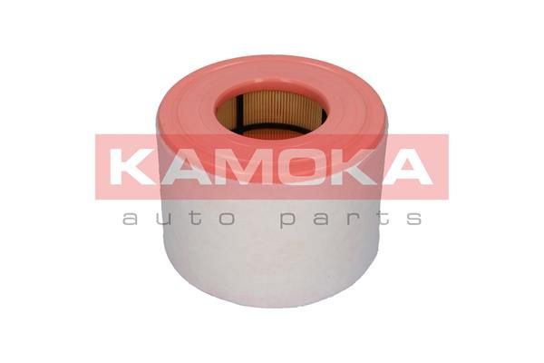 Купить F236901 KAMOKA Воздушный фильтр  Audi