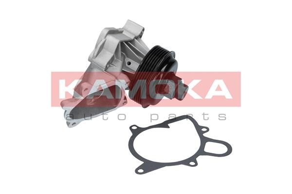 Купити T0060 KAMOKA Помпа БМВ Е65 (Е65, Е66) (730 Ld, 730 d)