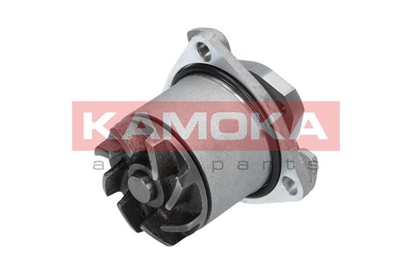 Купити T0138 KAMOKA Помпа Passat (B3, B4) (2.8 VR6, 2.9 VR6 Syncro)