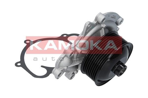 Купить T0191 KAMOKA Помпа Спринтер 906 3.0