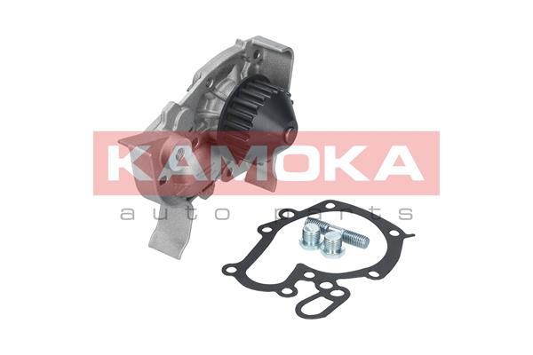 Купить T0243 KAMOKA Помпа Clio 2 1.4