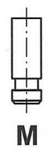Купити R6175/SNT Freccia Впускний клапан Прімера (P10, P11) (2.0 D, 2.0 TD)