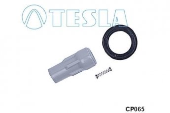 Комплектуючі котушки запалювання CP065 TESLA фото 1