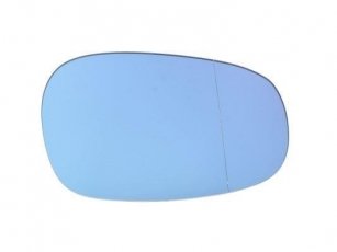 Купити 6102-02-1272811P BLIC Вкладиш бічного дзеркала