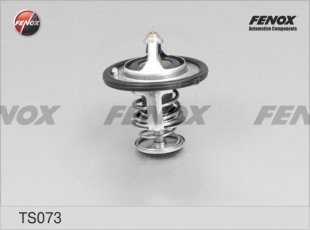 Купити TS073 FENOX Термостат RX-8