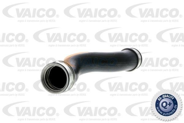 Купити V10-2698 VAICO Патрубок інтеркулера Октавія А5 (1.9 TDI, 2.0 RS)