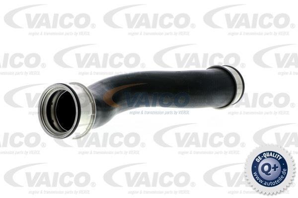 Купить V10-3208 VAICO Патрубок интеркулера Ауди А3 2.0