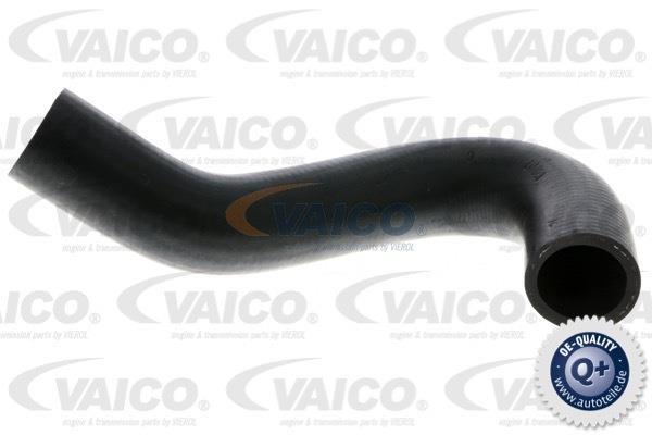 Купить V10-0055 VAICO Патрубок радиатора Fiesta (1, 2, 3) (1.0, 1.1, 1.4, 1.6)