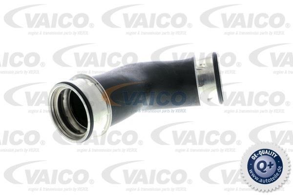 Купить V10-2856 VAICO Патрубок интеркулера Touran (2.0 TDI, 2.0 TDI 16V)