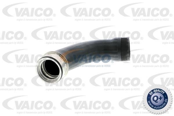 Купить V10-2889 VAICO Патрубок интеркулера Поло (1.4 16V, 1.4 TDI)