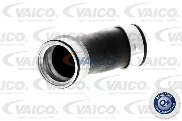 Купити V10-2900 VAICO Патрубок інтеркулера Мультівен (1.9 TDI, 2.5 TDI, 2.5 TDI 4motion)