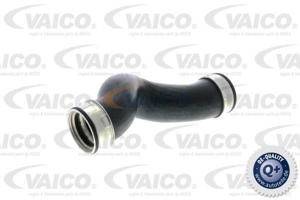 Купити V10-2696 VAICO Патрубок інтеркулера Multivan 1.9 TDI