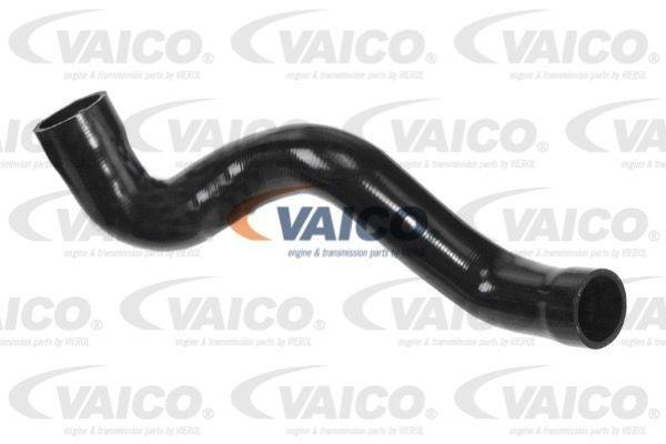 Купити V10-2840 VAICO Патрубок інтеркулера Polo (1.9 TDI, 110 1.9 TDI)