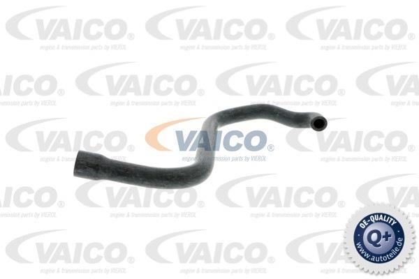 Купить V20-2080 VAICO - Шланг, воздухоотвод крышки головки цилиндра