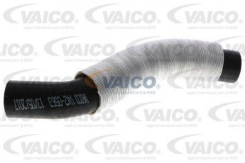 Купити V42-0563 VAICO Патрубок інтеркулера Купер 1.6