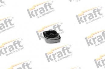 Купити 1490816 Kraft Подушка коробки Passat