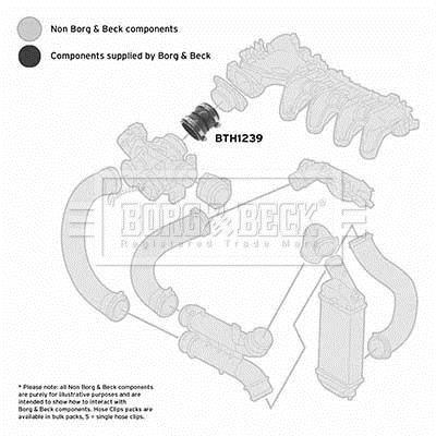 Купить BTH1239 Borg&beck Патрубок интеркулера Peugeot 407 1.6 HDi 110