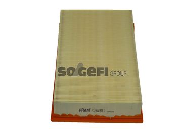 Воздушный фильтр CA5301 Fram –  фото 1