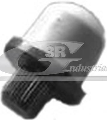 Купить 22603 3RG - Болт вилки сцепления Renault MEGANE/Scenic I (JA0/1)  -03 (motor F9Q)