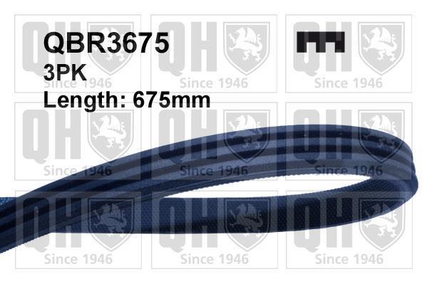 Купить QBR3675 Quinton Hazell Ремень приводной  Fiesta 3 (1.8 D, 1.8 TD)