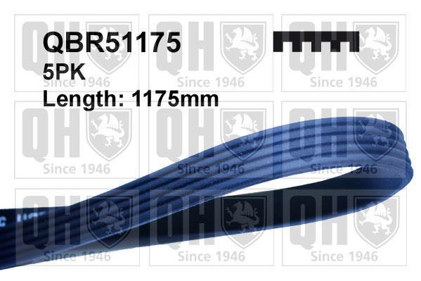 Купить QBR51175 Quinton Hazell Ремень приводной  Avensis T22 2.0 D-4D