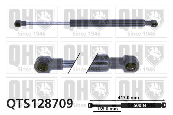 Купить QTS128709 Quinton Hazell Амортизатор багажника Megane 2 (1.4, 1.5, 1.6, 1.9, 2.0)