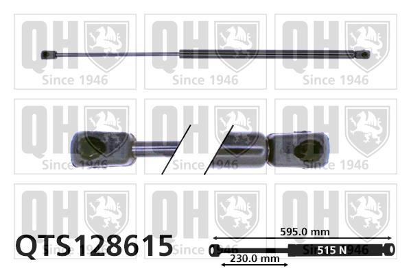 Купити QTS128615 Quinton Hazell Амортизатор багажника Megane 1 (1.4, 1.6, 1.9, 2.0)