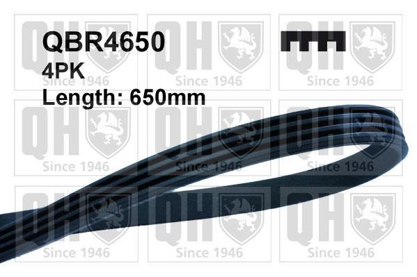 Купить QBR4650 Quinton Hazell Ремень приводной  Escort (5, 6, 7) (1.8 D, 1.8 Turbo D)