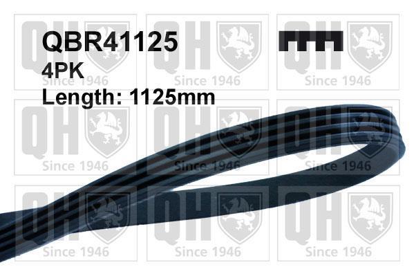 Купити QBR41125 Quinton Hazell Ремінь приводний  L200 (2.5 D, 2.5 TD, 2.5 TD 4WD)