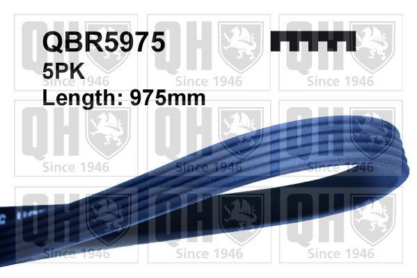 Купить QBR5975 Quinton Hazell Ремень приводной  Пунто 1.4 GT Turbo