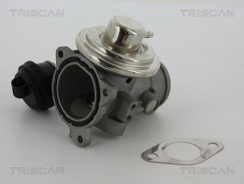 Купить 8813 29057 TRISCAN Клапан ЕГР Audi A4 (B5, B6) (1.9 TDI, 1.9 TDI quattro)