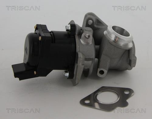 Купить 8813 10010 TRISCAN Клапан ЕГР Mazda 3 BK 1.6 DI Turbo
