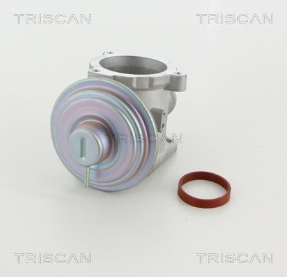 Купить 8813 11003 TRISCAN Клапан ЕГР BMW E60 (E60, E61) (2.0, 2.5, 3.0)