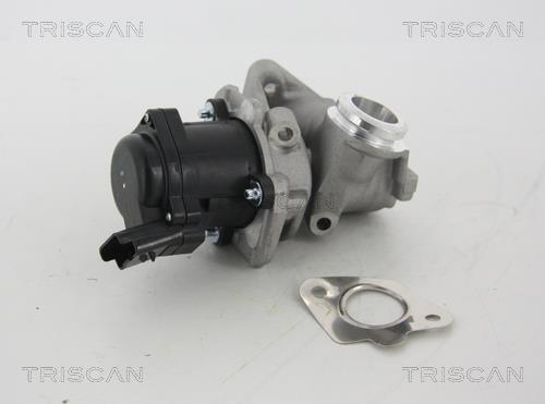 Купить 8813 28003 TRISCAN Клапан ЕГР Peugeot 207 (1.4, 1.4 HDi)