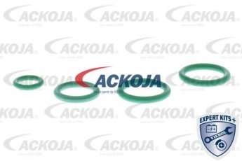 Клапан кондиціонера A70-77-0008 Ackoja фото 2