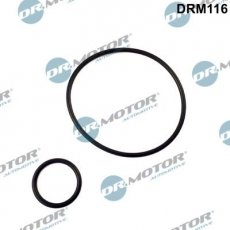 Купить DRM116 DR.MOTOR Прокладка впускного коллектора Пежо 405 (1.8, 1.9)