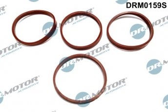 Купити DRM0159S DR.MOTOR Прокладка впускного колектора Сітроен С3 (1.6, 1.6 16V)