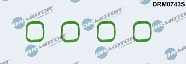 Купити DRM0743S DR.MOTOR Прокладка впускного колектора Polo 1.4 GTI
