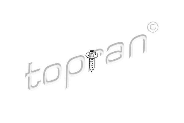 Болт 109 315 Topran фото 1