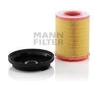Купить C 29 010 KIT MANN-FILTER Воздушный фильтр 