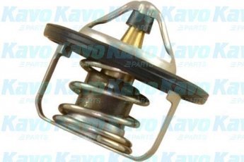 Купити TH-8504 Kavo Термостат Ігніс