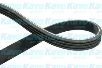 Купити DMV-2020 Kavo Ремінь приводний (4 ребра) Блюберд (1.6, 1.8, 2.0)Довжина: 812 мм