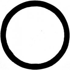 Уплотнительное кольцо, выпускной коллектор 71-37618-00 VICTOR REINZ фото 1