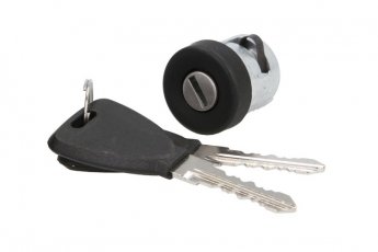 Купить 22430 Febi - Сердцевина замка (с ключами)