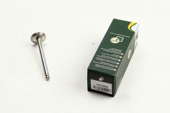 Купити V017055 BGA Випускний клапан Пунто (1.1, 1.2)
