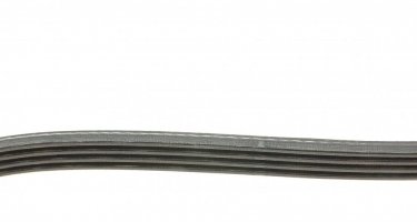 Ремінь приводний 4PK1488 DAYCO – (4 ребра)Довжина: 1488 мм фото 5